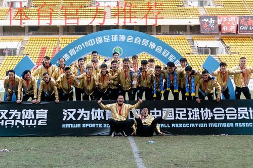 汉为体育2018中冠联赛决赛首回合:泰州远大4-1成都兴城 汉为体育2018中冠联赛决赛首回合:泰州远大4-1成都兴城