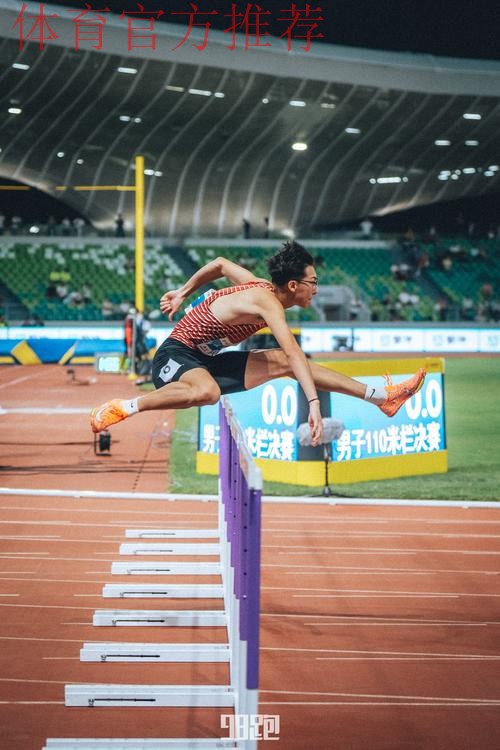徐卓一夺得田径男子110米栏冠军